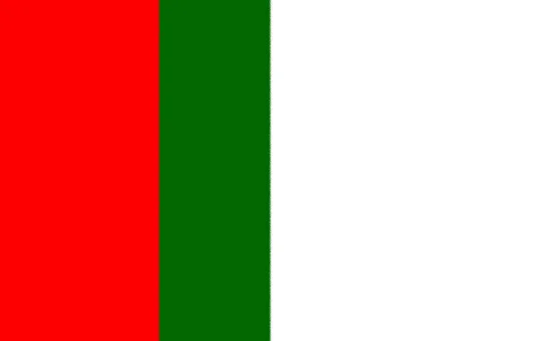 Σημαία Του Κινήματος Muttahida Qaumi — Φωτογραφία Αρχείου