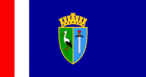 Прапор Округу Сісак Мославіна Хорватія — стокове фото