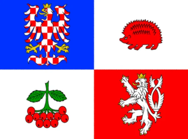 Прапор Висоанської Області Чеська Республіка — стокове фото