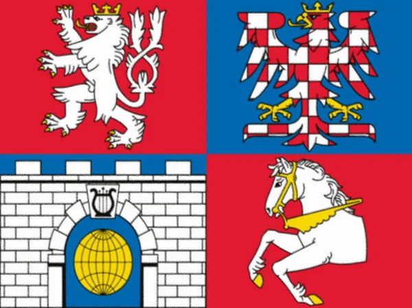 帕尔杜比采区域 捷克共和国国旗 — 图库照片