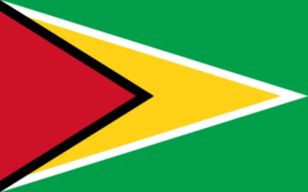 Flagge Von Guyana Südamerika — Stockfoto