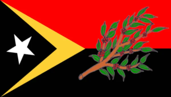 Flaga Ermera Timor Wschodni — Zdjęcie stockowe
