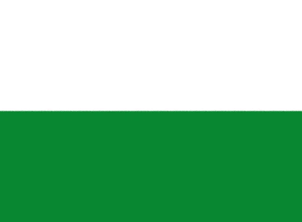 Флаг Провинции Эсмеральдас — стоковое фото