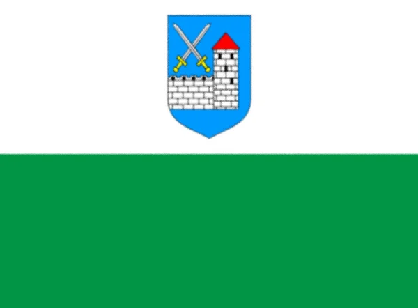 Flag Ida Virumaa Estonia — стокове фото