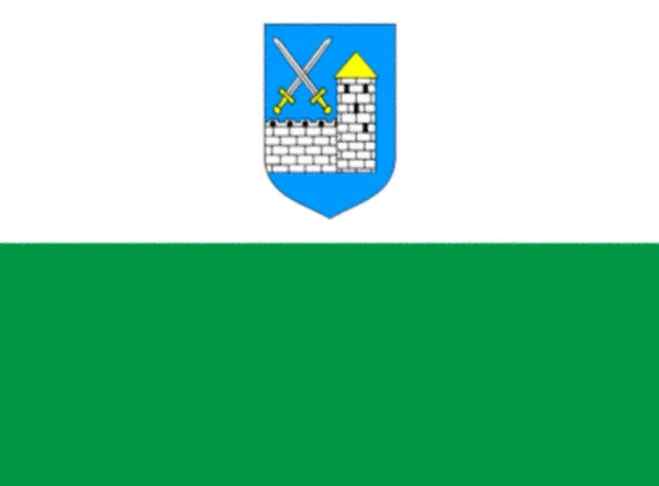 Bandeira Lne Virumaa Estónia — Fotografia de Stock
