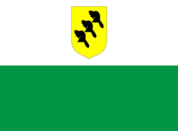 Zászló Plvamaa Észtország — Stock Fotó