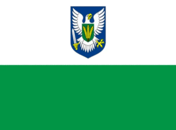 Σημαία Viljandimaa Εσθονία — Φωτογραφία Αρχείου