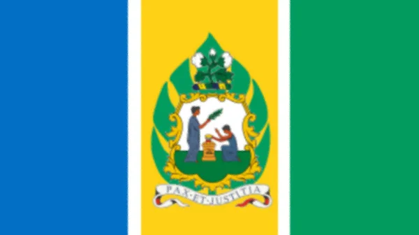Vlag Van Saint Vincent Grenadines Van 1979 Tot 1985 — Stockfoto