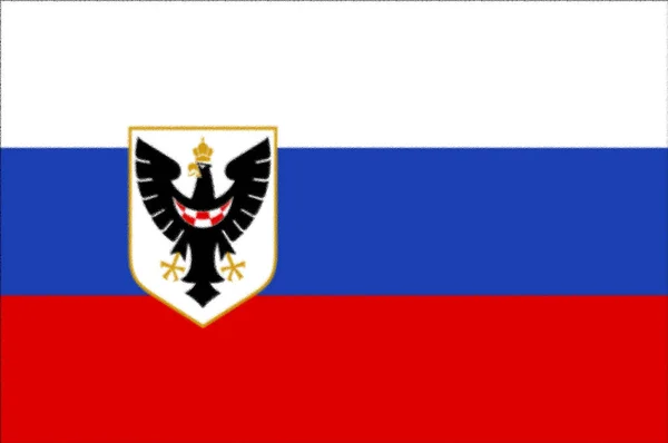Flaga Słoweńskiej Gwardii Krajowej 1941 1945 — Zdjęcie stockowe