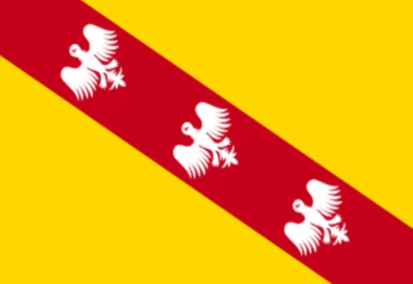 Flagga För Regionen Lorraine Frankrike — Stockfoto