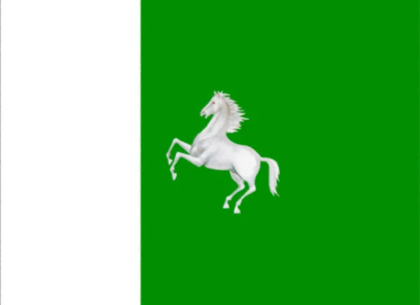 Zászló Tomsk Oroszország — Stock Fotó