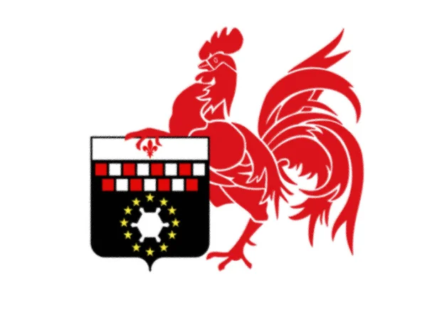 Прапор Шарлеруа Бельгія — стокове фото