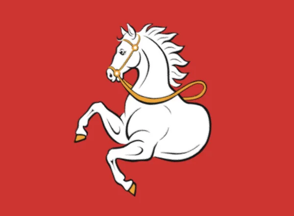 Flag Pardubice Czech Republic — Stock Photo, Image