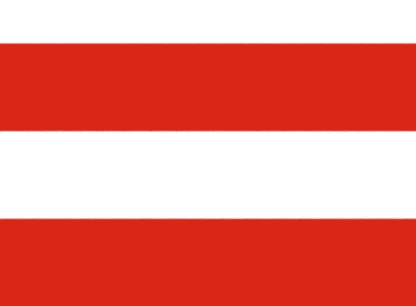 Flag Brno Czech Republic — Stock Photo, Image