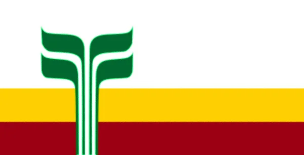 Franco Manitobains Flagga Kanada — Stockfoto