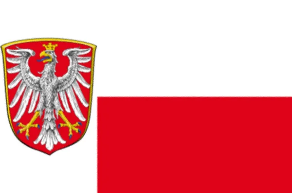 Flagga Frankfurt Main Tyskland — Stockfoto