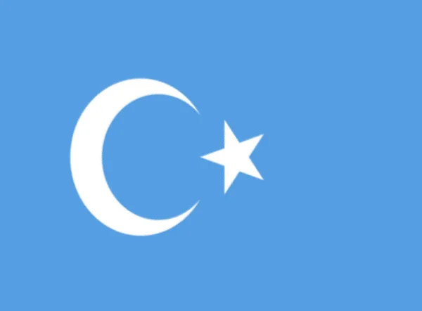 Прапори Народу Уйгур — стокове фото