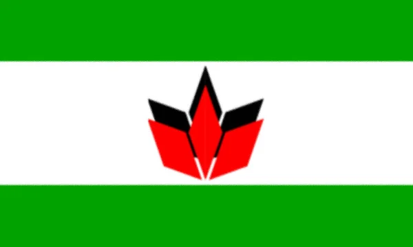 Bandeira União Democrática Dos Húngaros Roménia — Fotografia de Stock