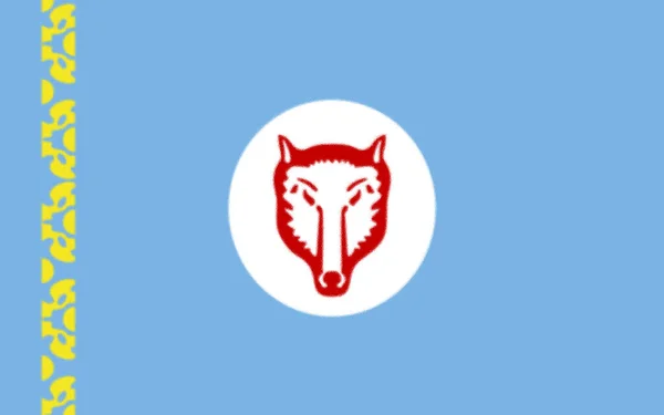 Bendera Orang Gagauz — Stok Foto