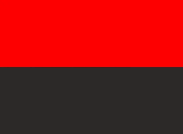 Vlajka Szekelyho Lidí — Stock fotografie