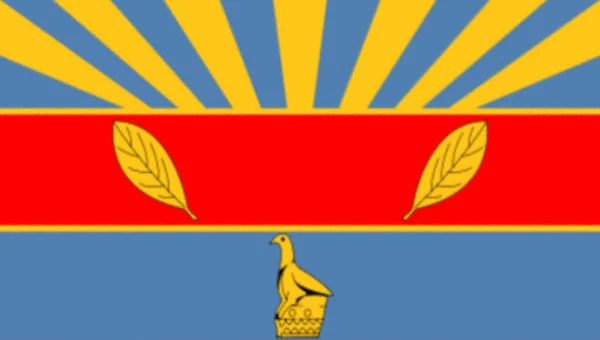 津巴布韦首都哈拉雷的旗子 — 图库照片