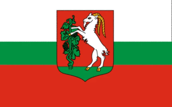 Флаг Люблина Польша — стоковое фото