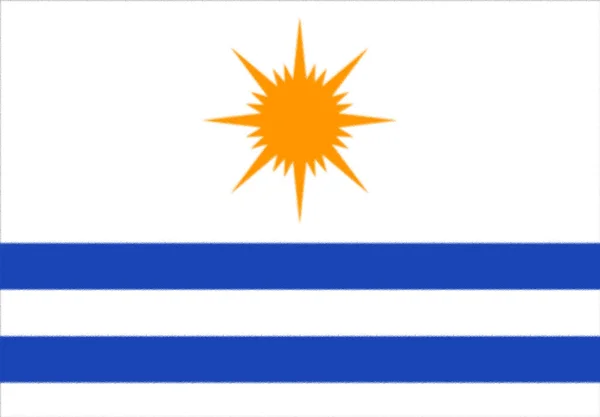 パルマス トカンチンス ブラジルの国旗 — ストック写真