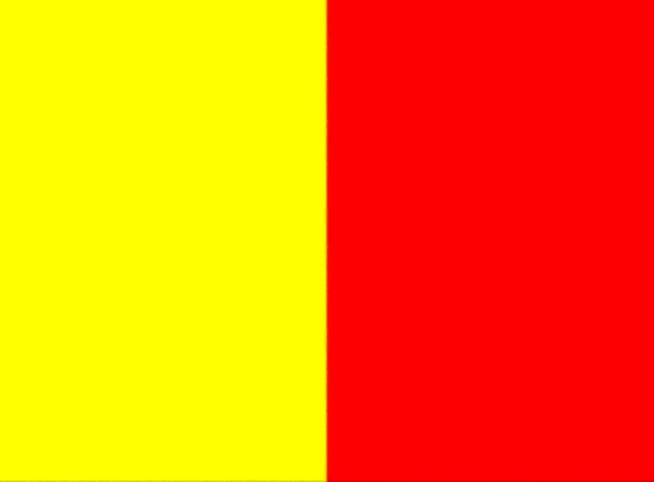 Флаг Орлеана Франция — стоковое фото