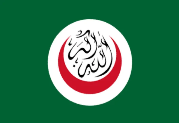 Σημαία Της Οργάνωσης Της Ισλαμικής Διάσκεψης — Φωτογραφία Αρχείου