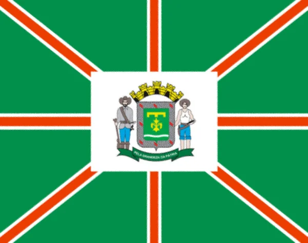 Флаг Гоянии Гояса Бразилия — стоковое фото