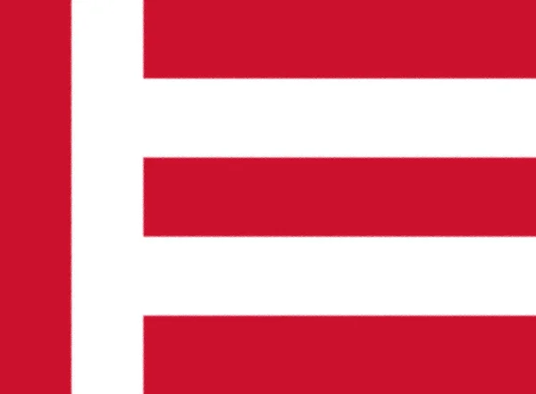Vlag Van Eindhoven Nederland — Stockfoto