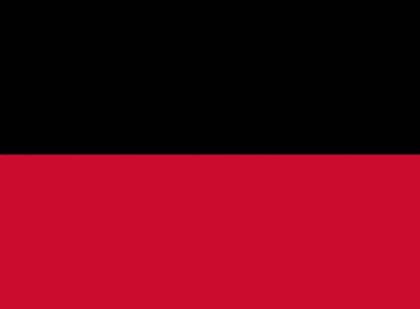 Flagga Nijmegen Nederländerna — Stockfoto