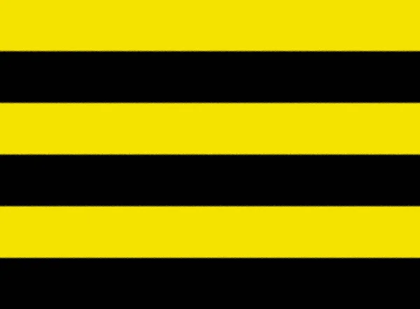 Flaga Schiedam Holandia — Zdjęcie stockowe