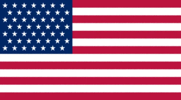 Bandeira Dos Estados Unidos América 1959 1960 — Fotografia de Stock