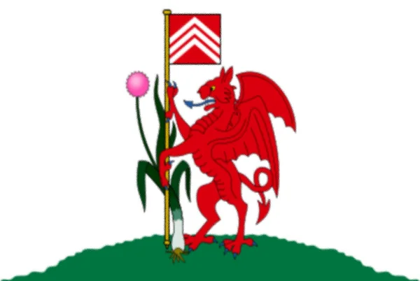 Σημαία Του Κάρντιφ Ουαλία — Φωτογραφία Αρχείου