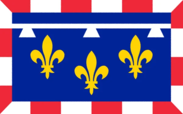 法国中部 卢瓦尔的旗帜 — 图库照片