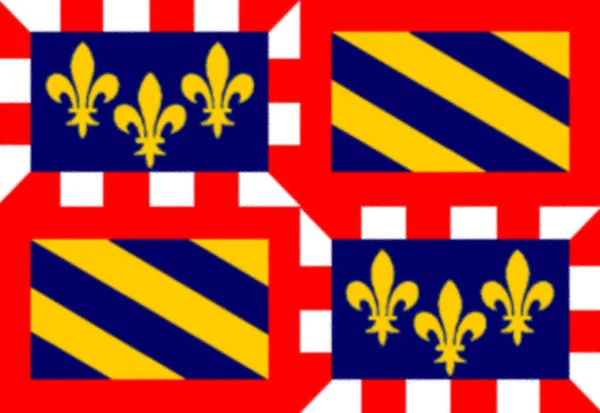 Bandiera Della Borgogna Provincia Tradizionale Francia — Foto Stock