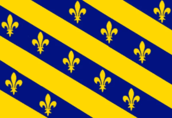 Bandera Del Reino Borgoña Francia —  Fotos de Stock