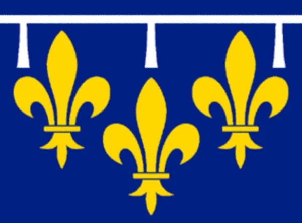 Bandera Orlanais Francia — Foto de Stock