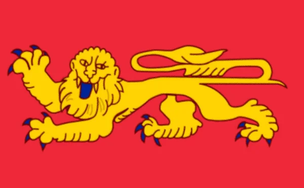 Flaga Akwitanii Była Tradycyjnym Regionem Francji Obecnie Częścią Nowego Regionu — Zdjęcie stockowe