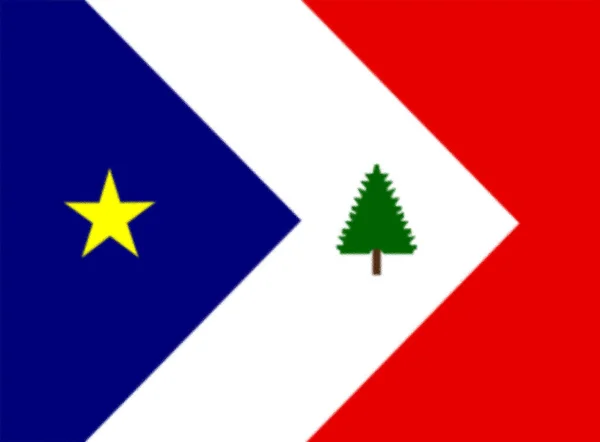 新英格兰的阿卡迪亚国旗 — 图库照片