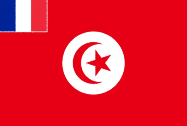 Bandera Ocupación Francesa Túnez 1881 1956 —  Fotos de Stock