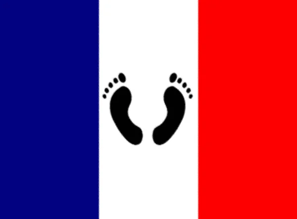 フランス ピードノワールの旗 2008年 — ストック写真