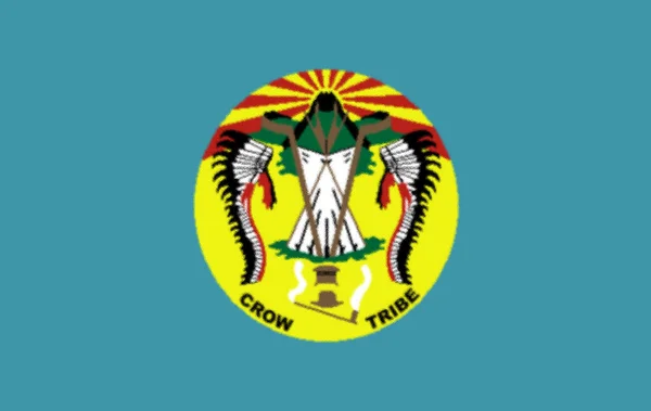 Flag Crow Tribe Montana Usa — стокове фото