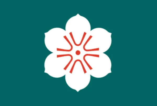 Vlag Van Saga Prefectuur Japan — Stockfoto