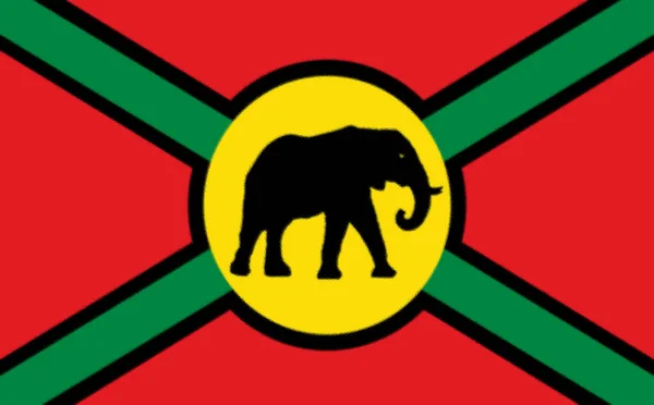 Flagge Der Union Afrikas — Stockfoto