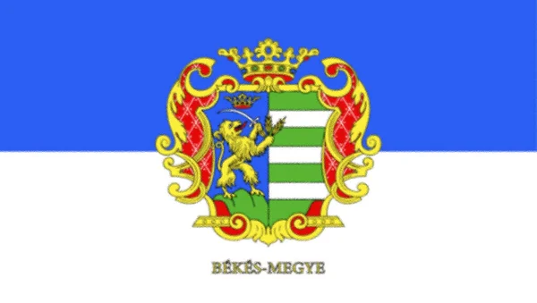 Flag County Bks Hungary — Stock Photo, Image