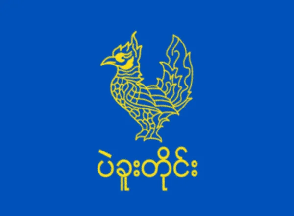 Σημαία Της Διαίρεσης Bago — Φωτογραφία Αρχείου
