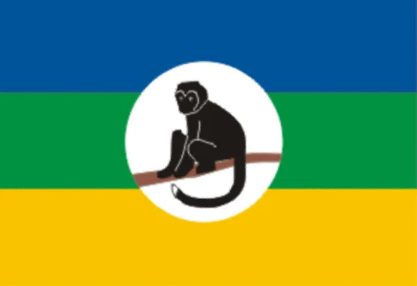 Флаг Народов Амба Конджо — стоковое фото