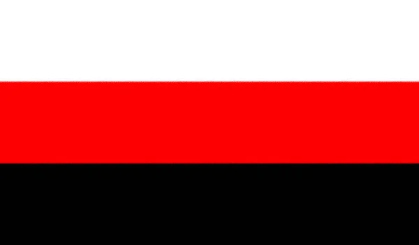Erzya人的旗帜 — 图库照片